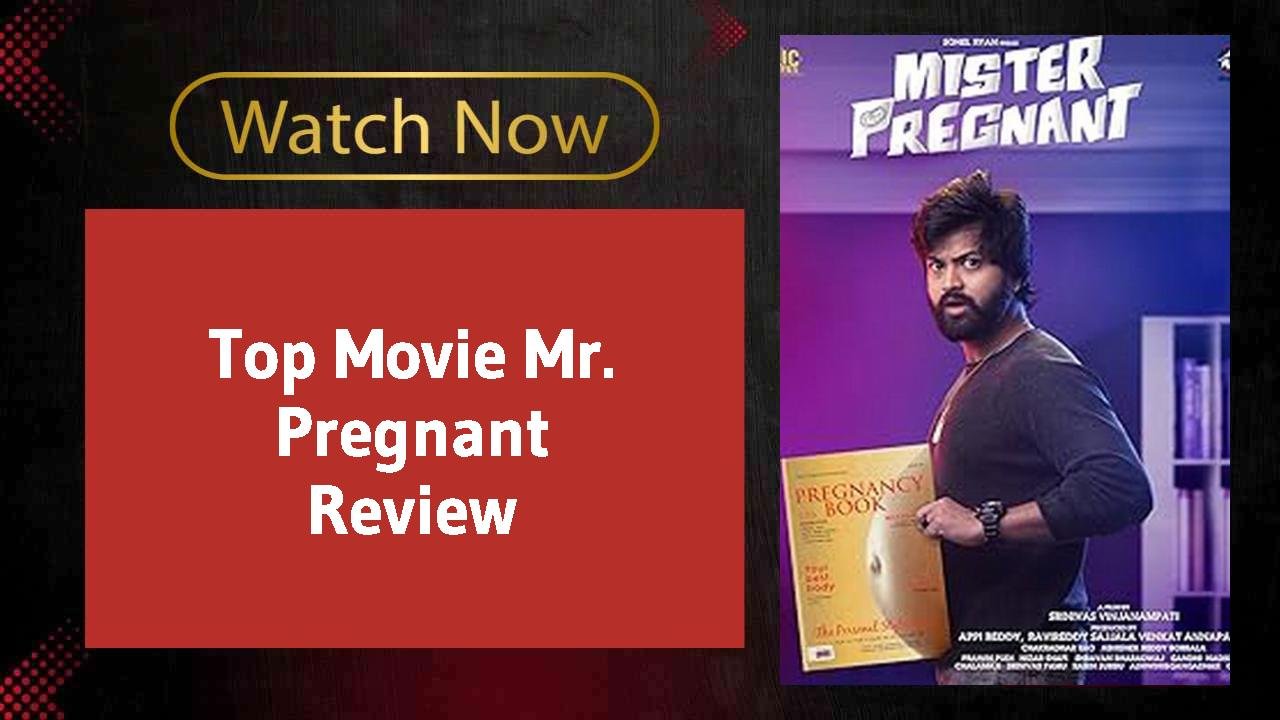 Mr. Pregnant