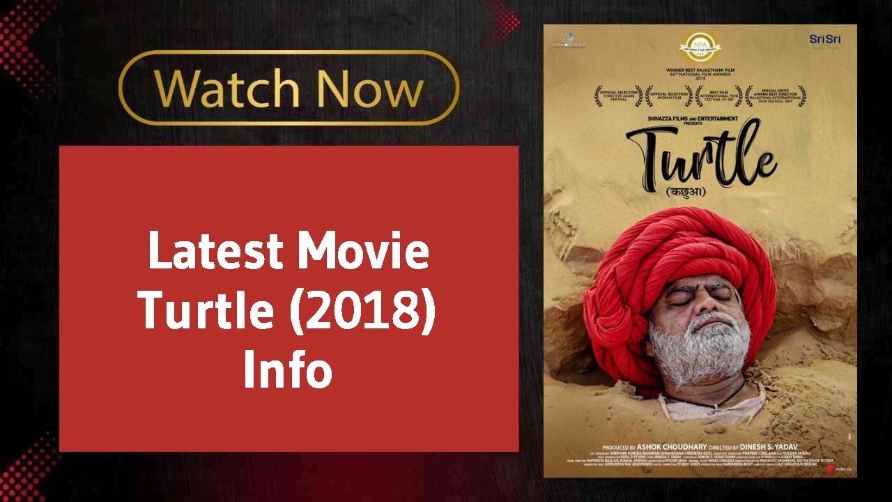 Turtle (2018)